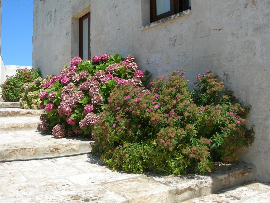 Masseria Montecchie Челье-Мессапика Экстерьер фото
